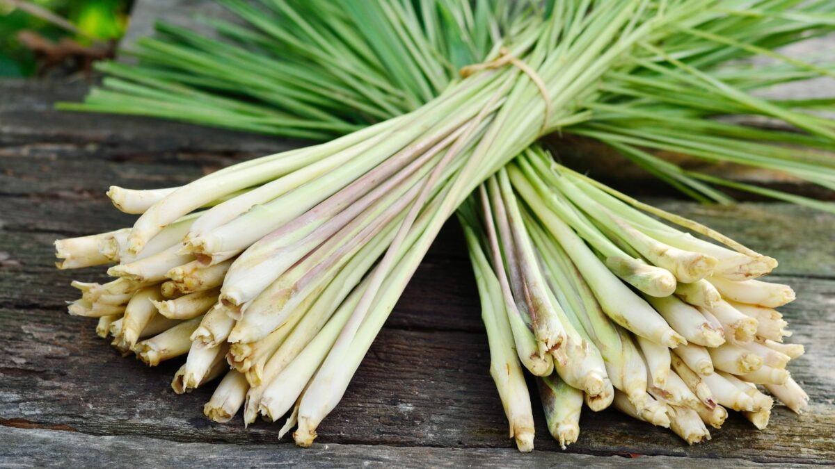 fresh lemongrass.