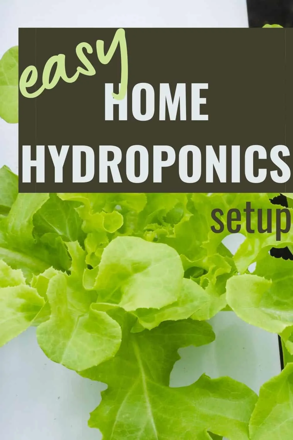 Easy home hydoponics setup