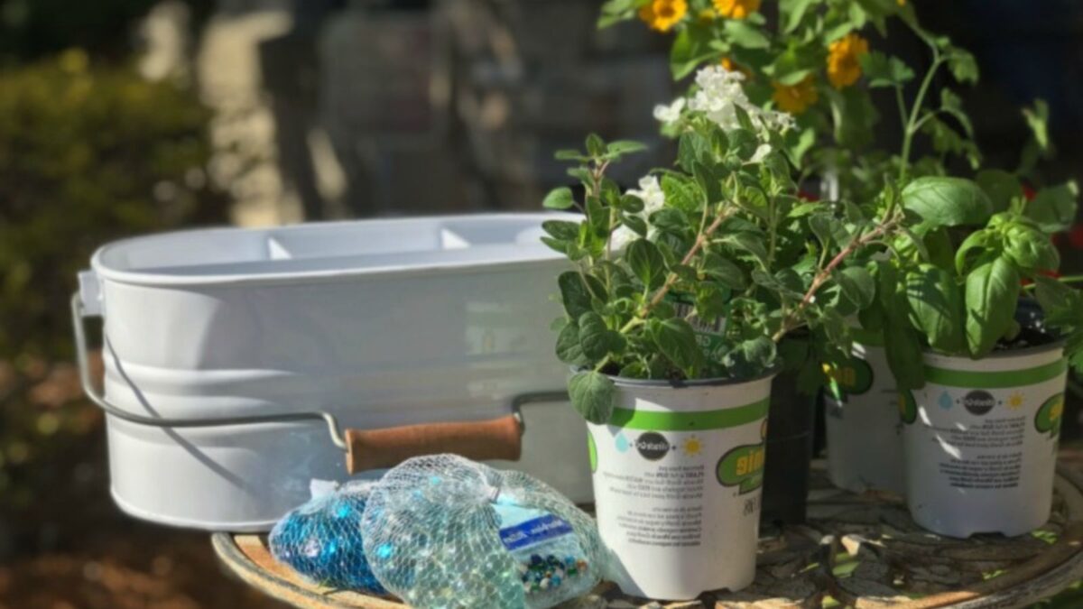 supplies for creating a patio herb garden.