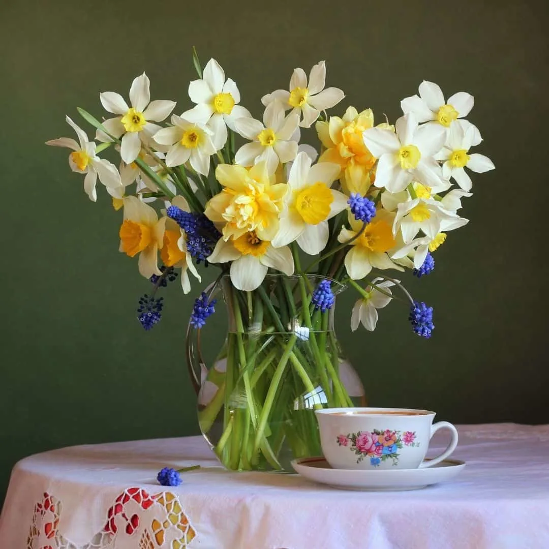 Spring daffodils bouquet 