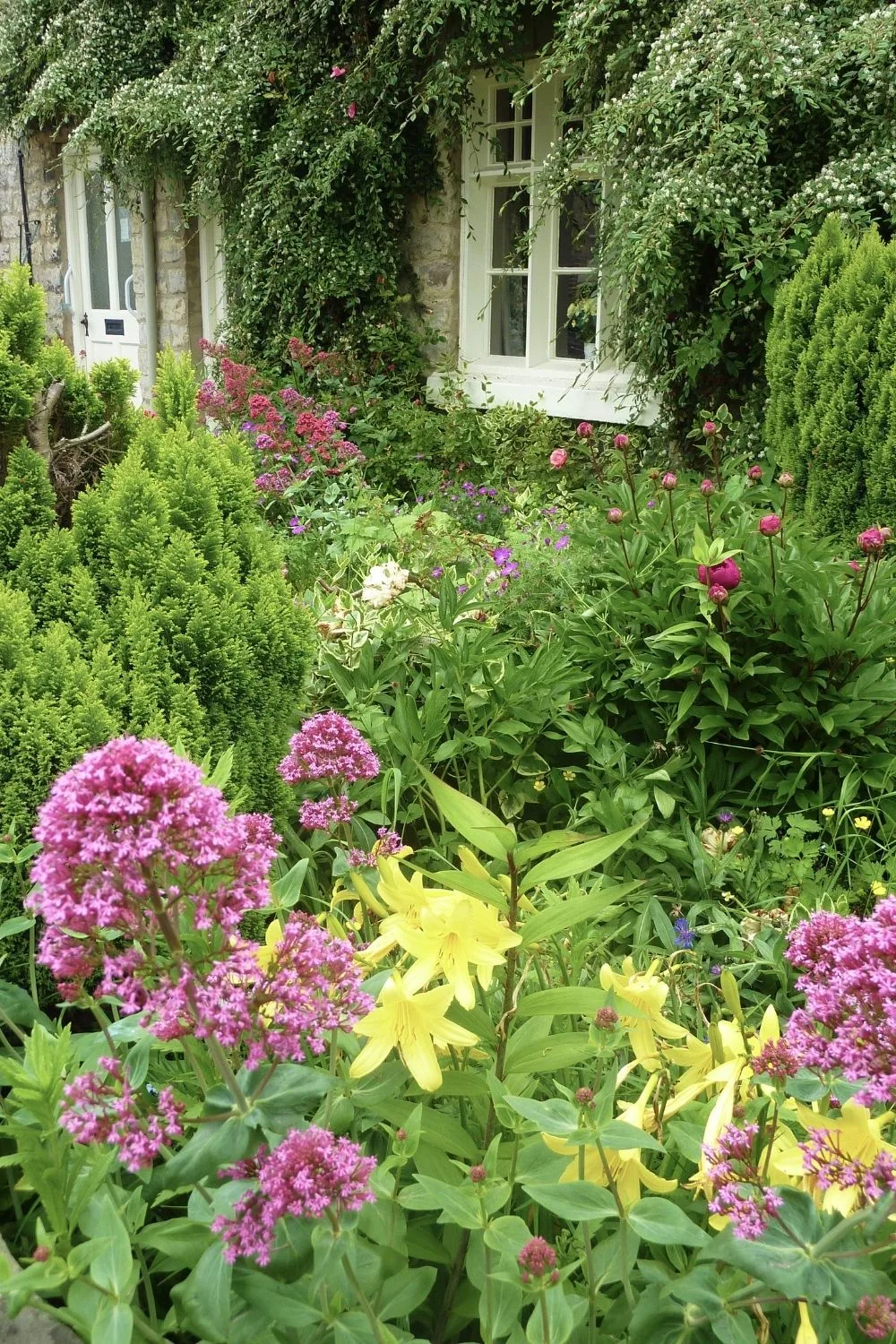 beautiful flower garden with a cottage feel 