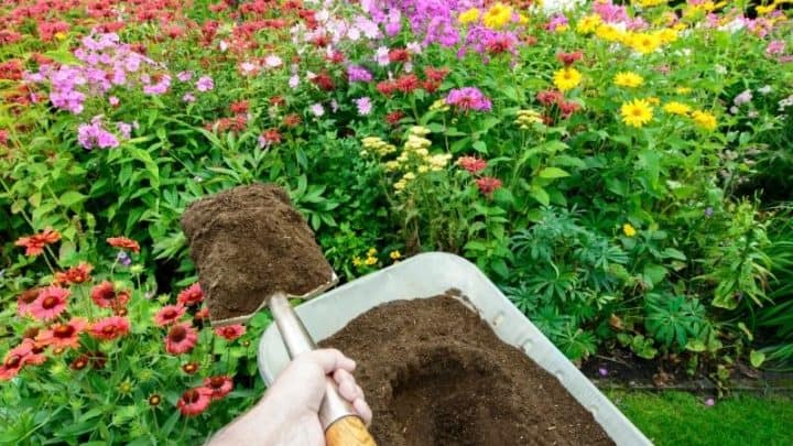 Topsoil vs Compost – Which One Should You Use?