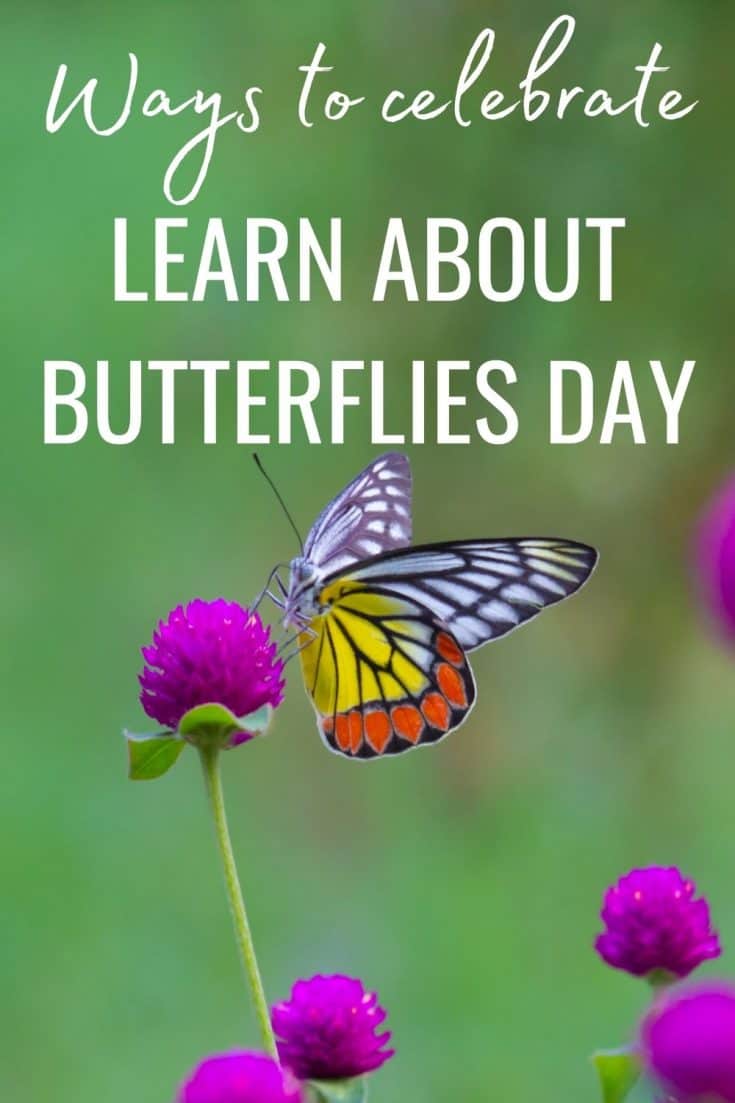3 Ways To Celebrate "Learn About Butterflies Day" On March 14