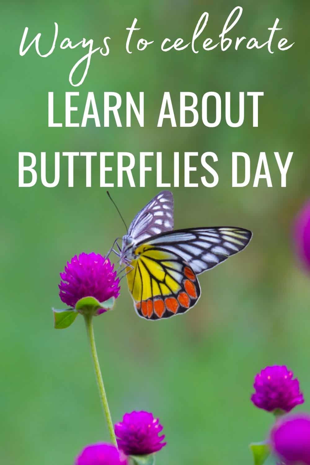 Ways to celebrate learn about butterflies day