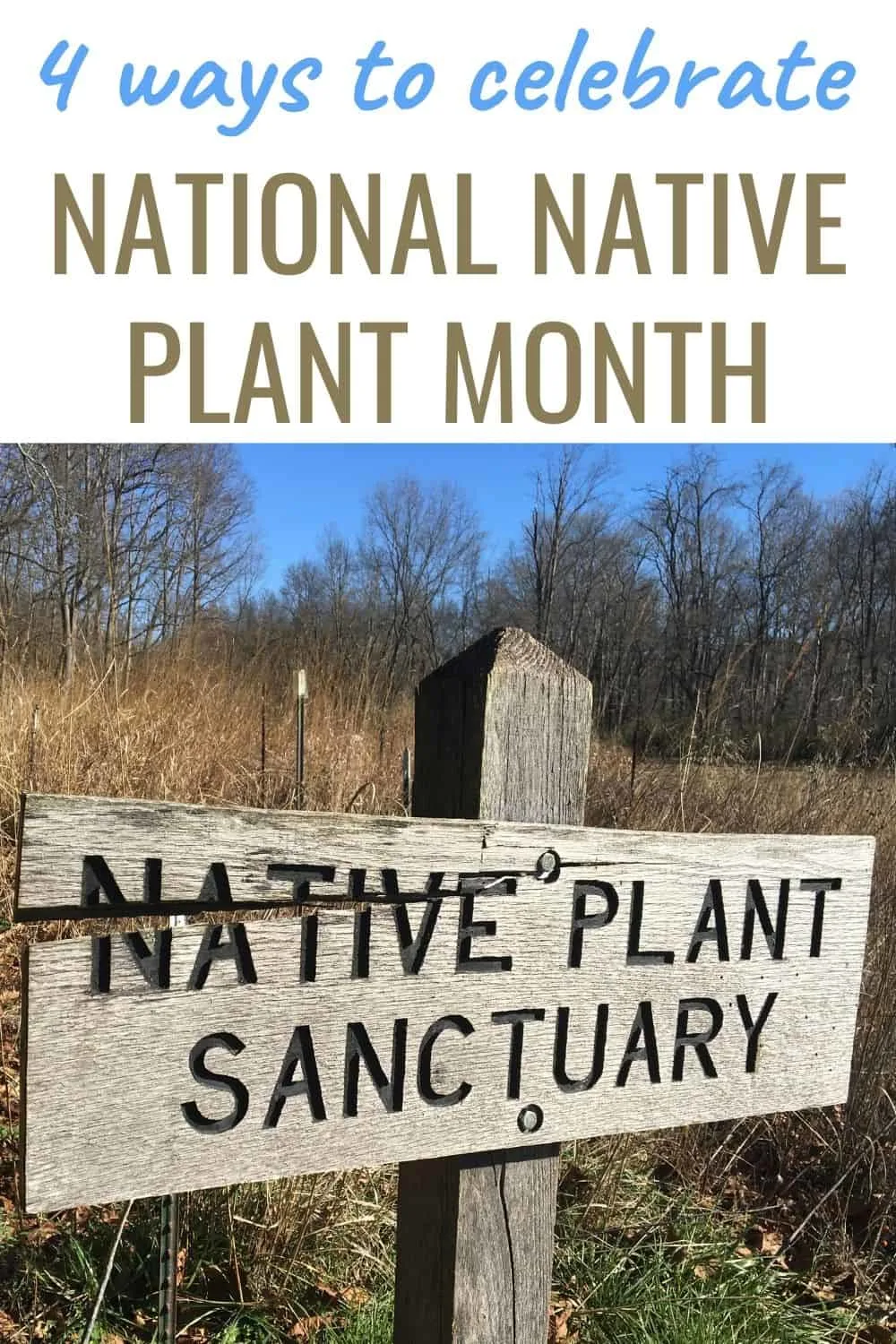 4 ways to celebrate National Native Plant Month