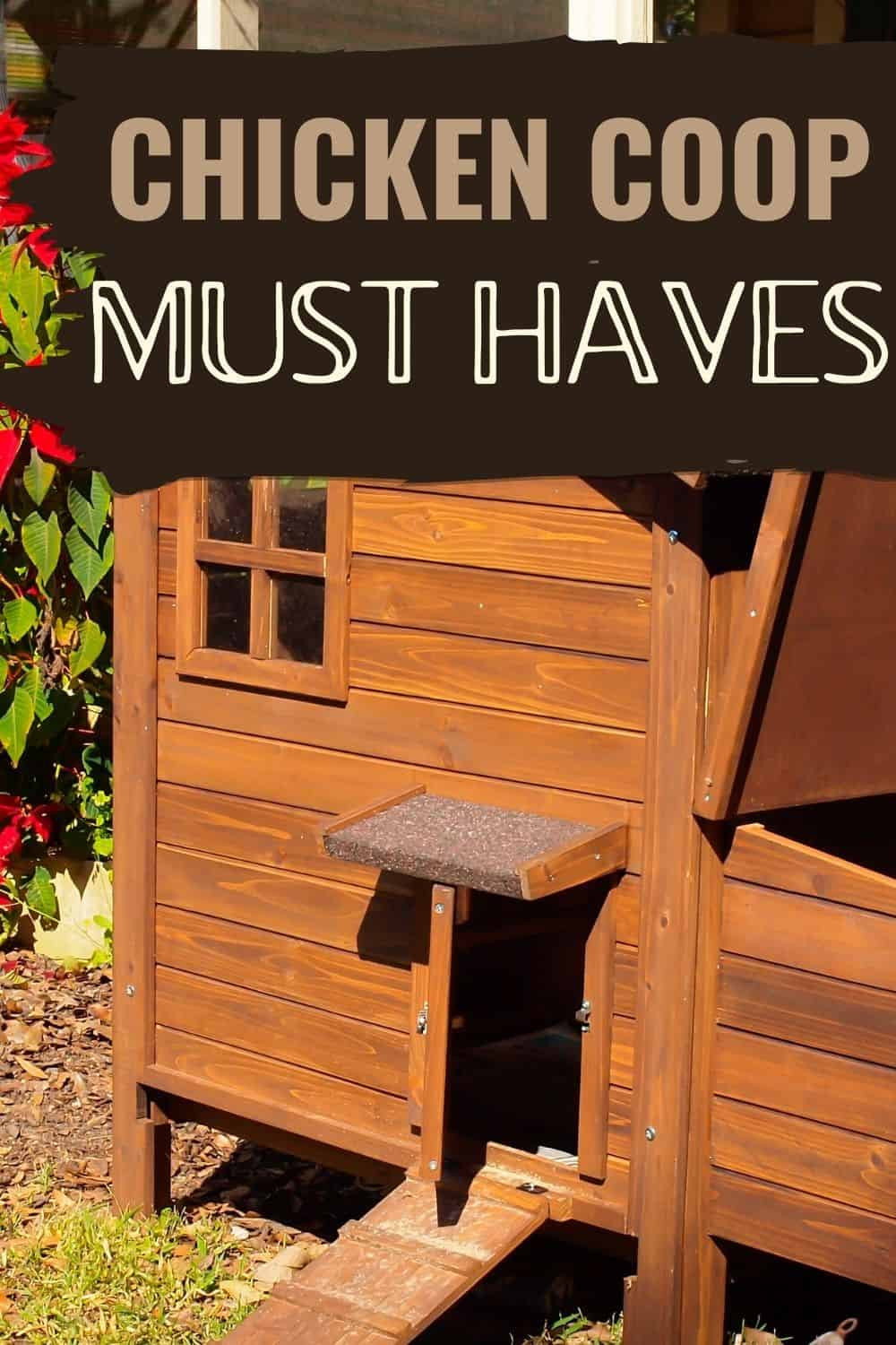 Chicken coop must haves