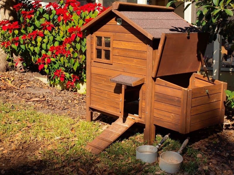 Beautiful wooden chicken coop