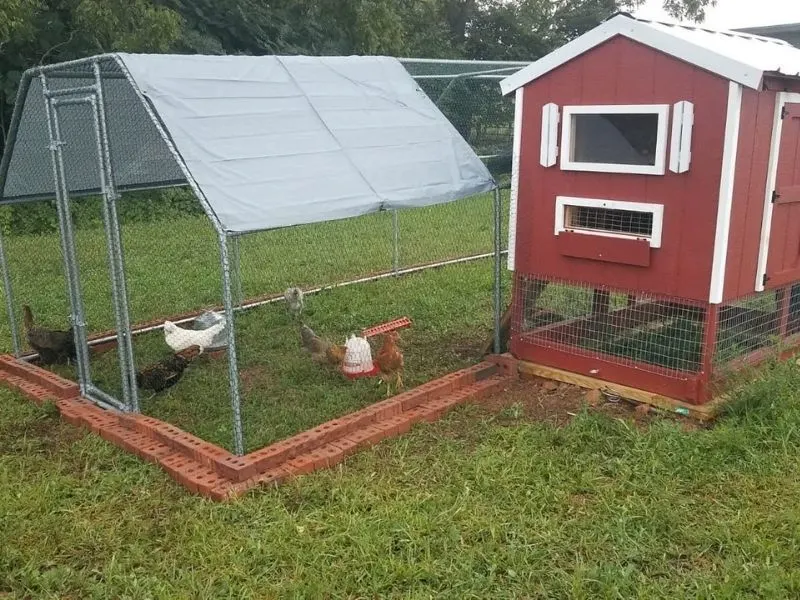 brand new chicken run