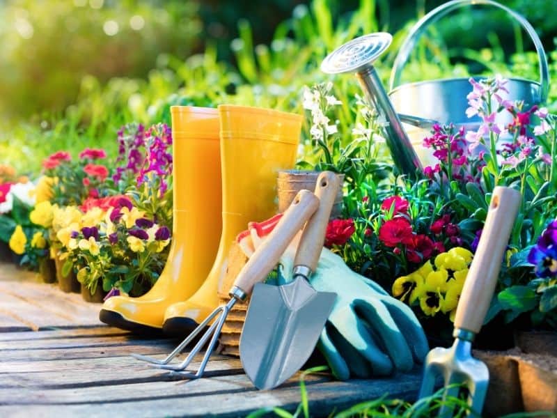 garden tools and plants ready for spring planting