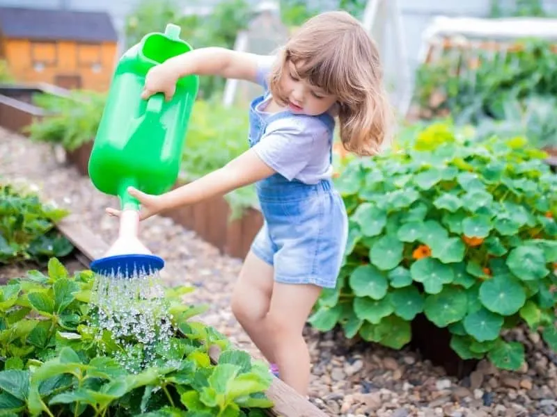 yourng girl watering the garden