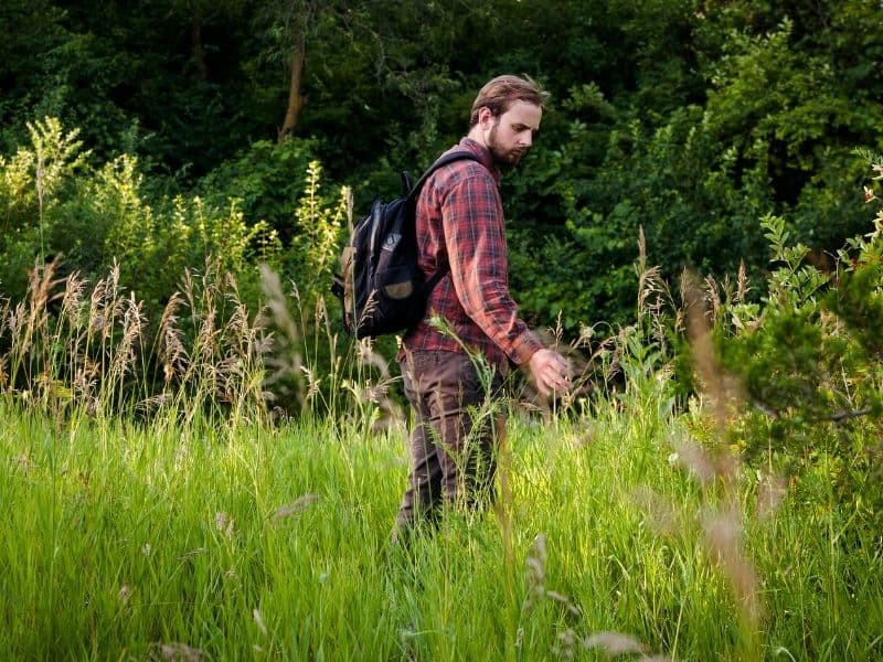 guy taking a nature walk anda looking at plants