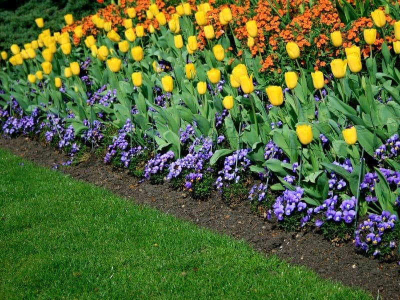 colorful landscape bed