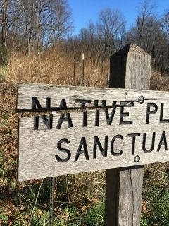 sign that says native plant sanctuary