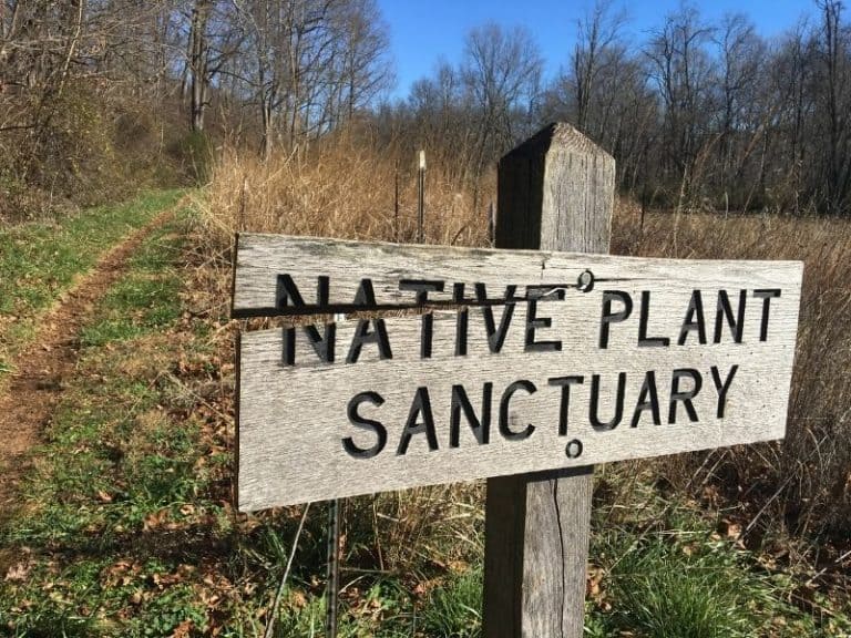 sign that says native plant sanctuary