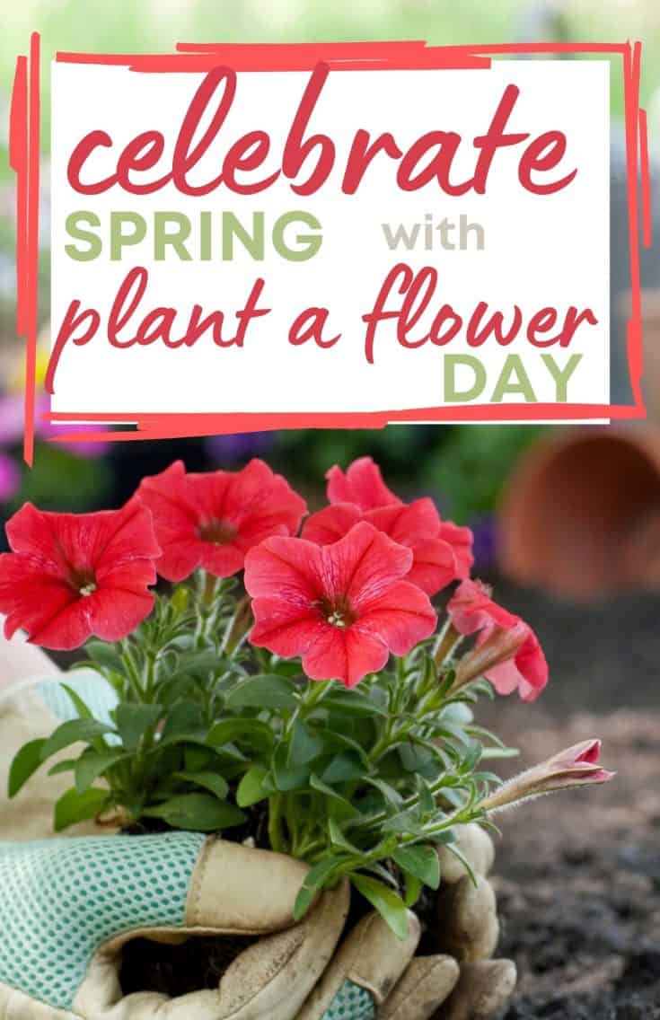 Celebrate Spring With Plant A Flower Day Even With Snow Still On The