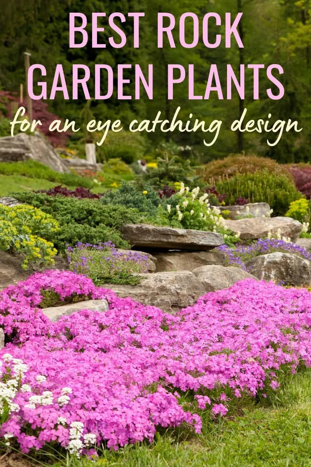 Best rock garden plants for an eye catching design