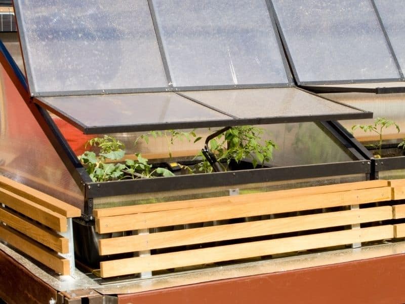 cold frame garden