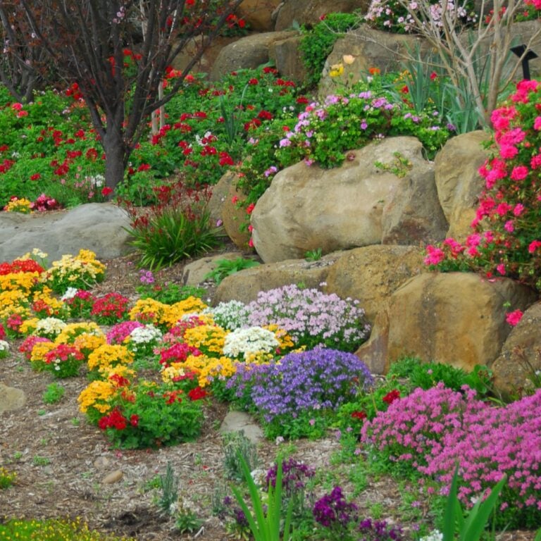 Colorful rock garden.