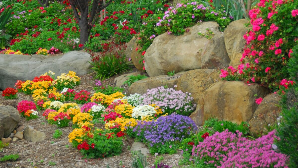 Colorful rock garden.