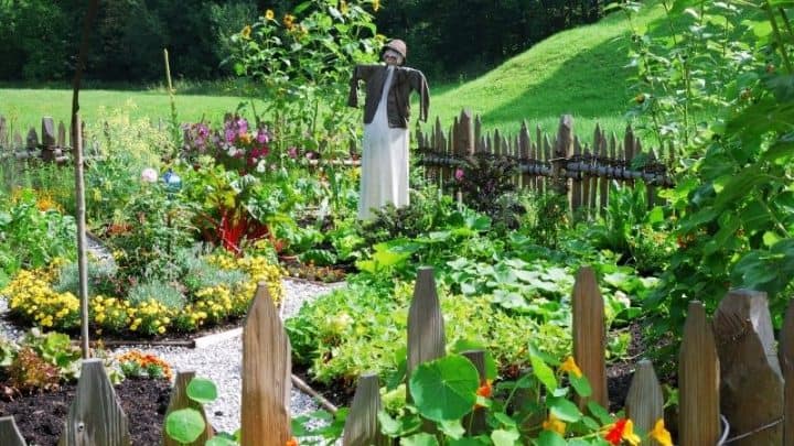 11 Creative Vegetable Garden Fence Ideas To Keep Critters Out