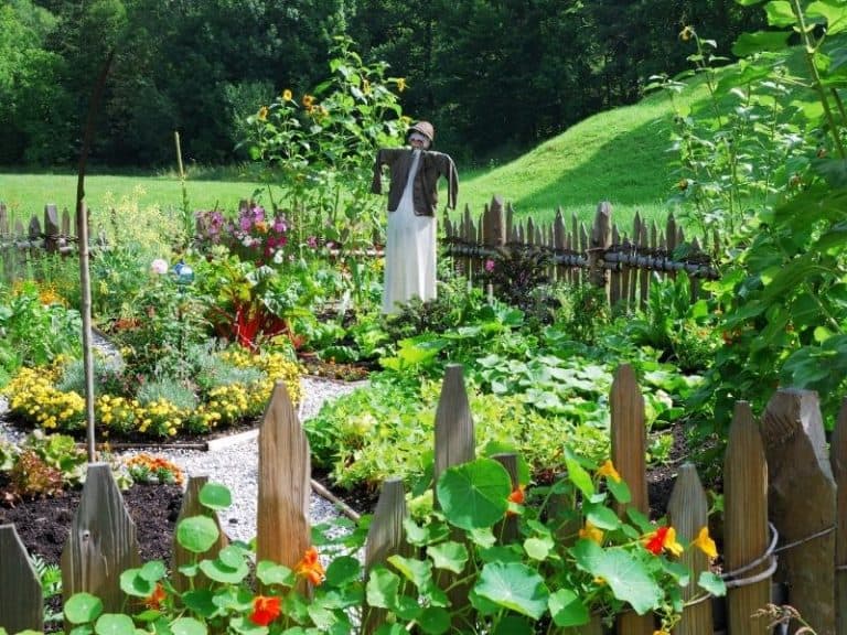 fenced in vegetable garden