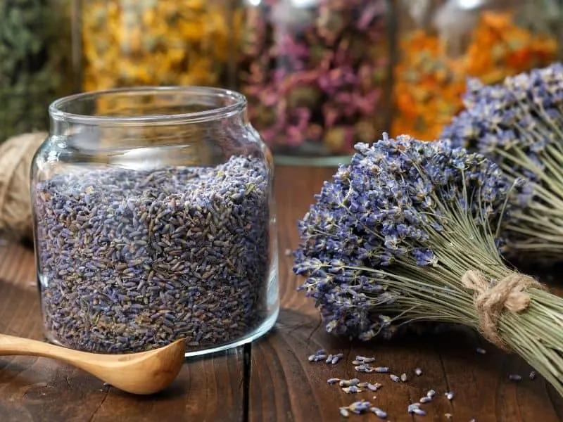 glass jar filled with dry lavender