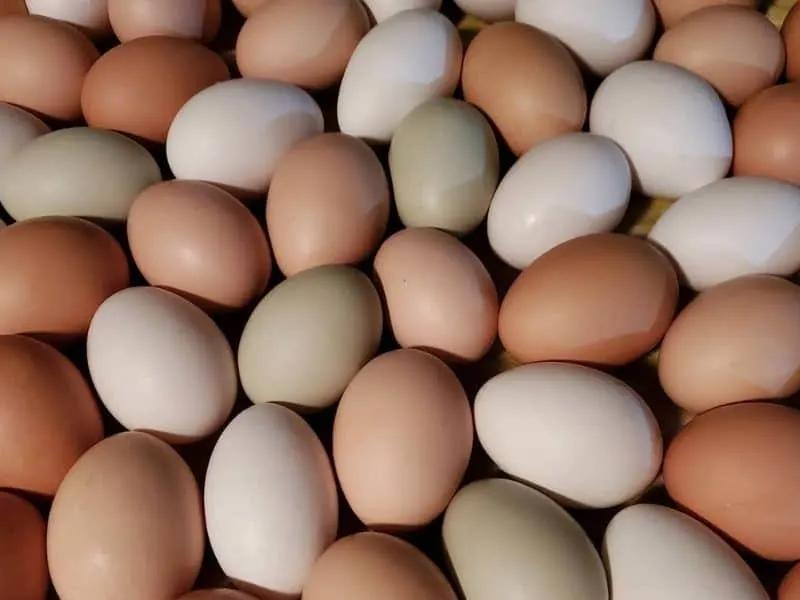 a big pile of colorful eggs
