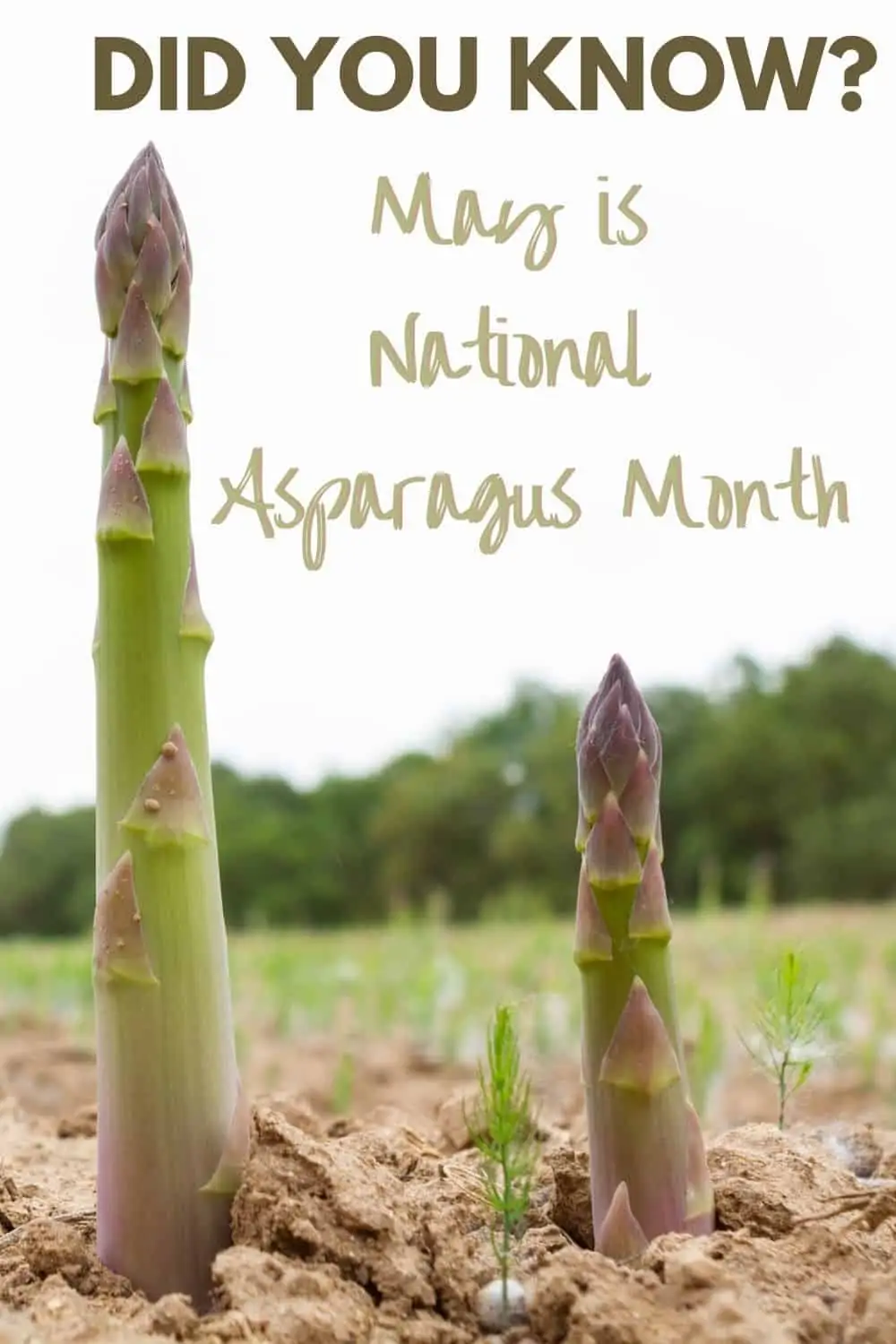 May is National Asparagus Month