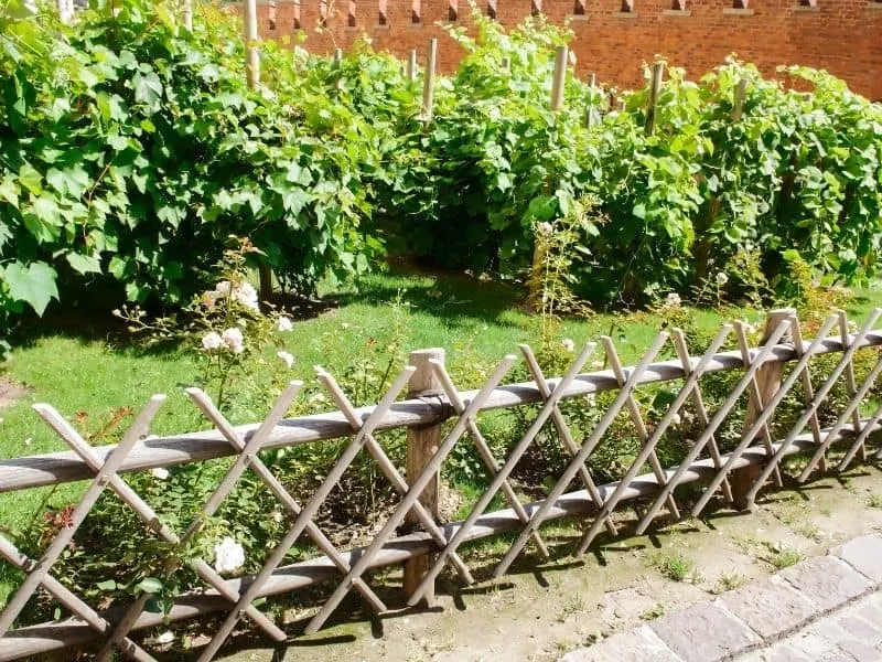 patterned wood fence