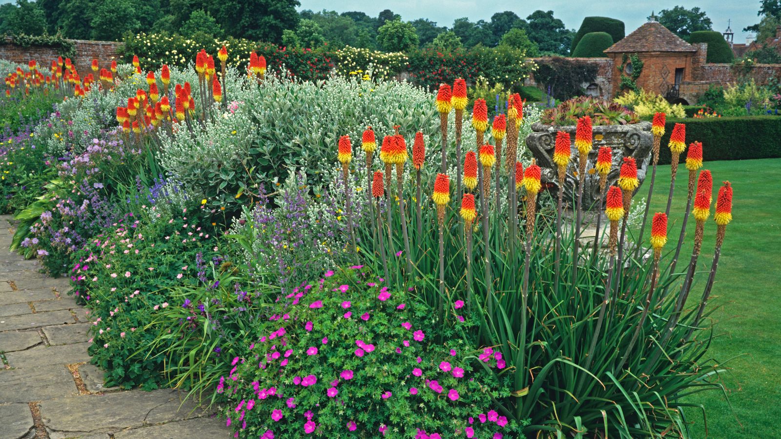 summer garden featuring red hot pokers.