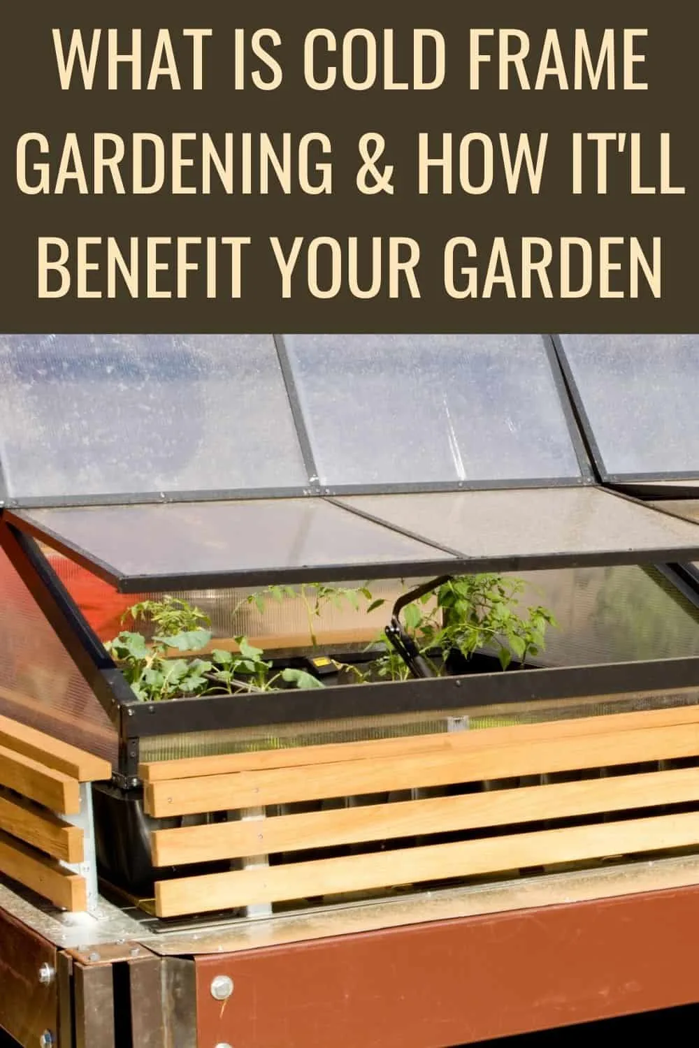 What is cold frame gardenign and how it will benefit your garden
