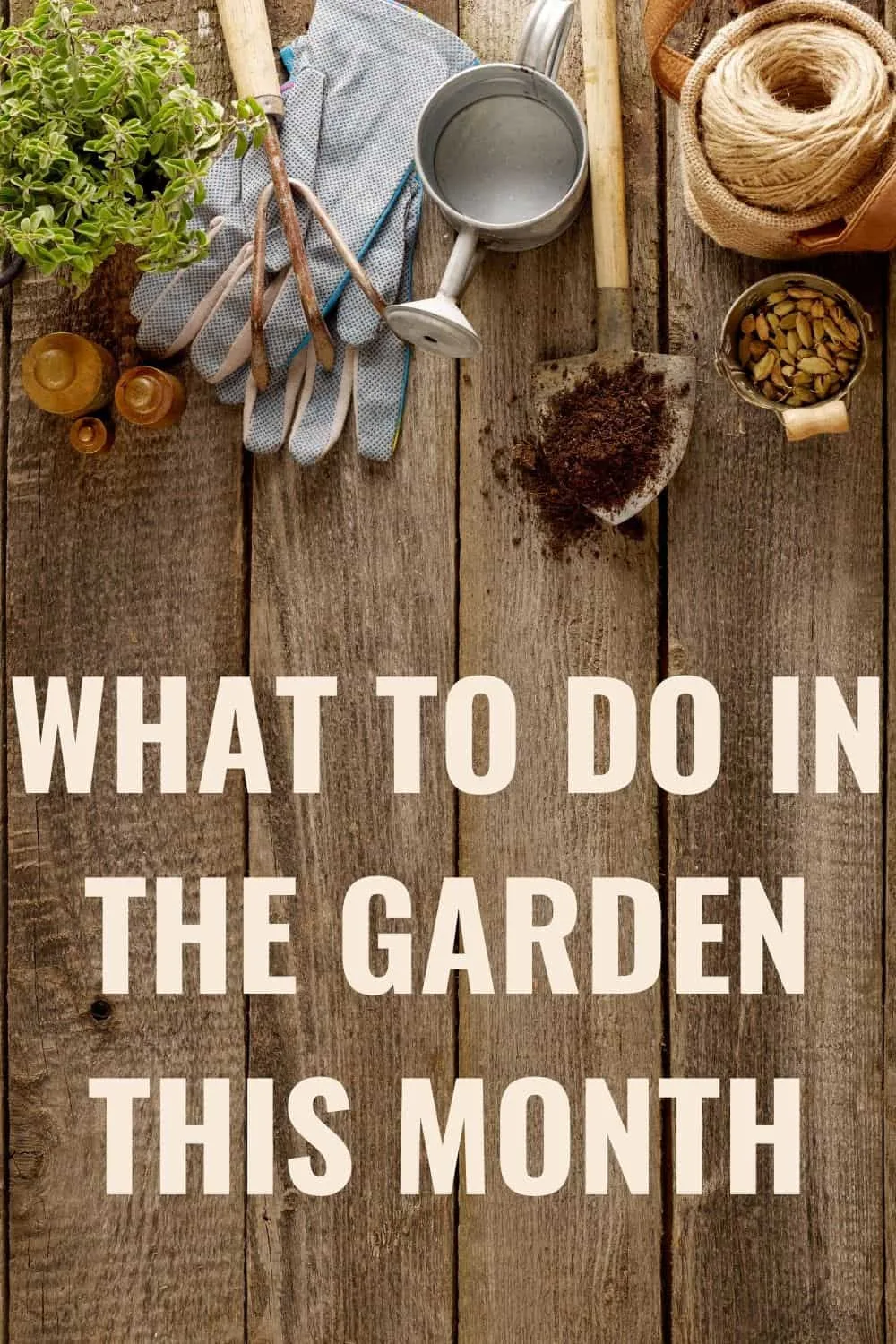 What to do in the garden this month