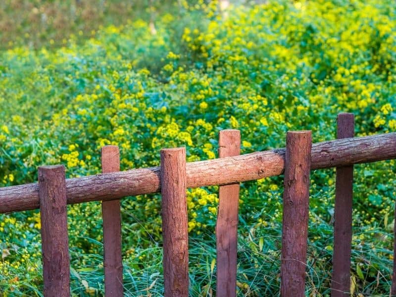 wooden logs fence