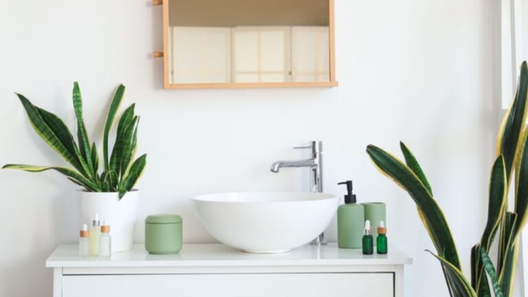Drawers with snake plant in light bathroom