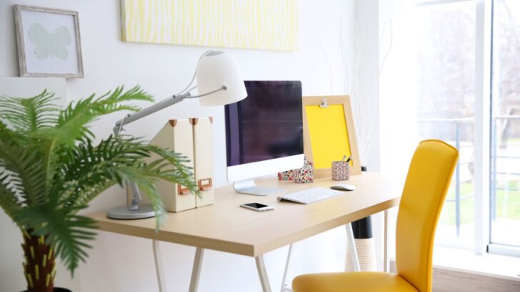 12 Best Indoor Plants for Happier Office Spaces