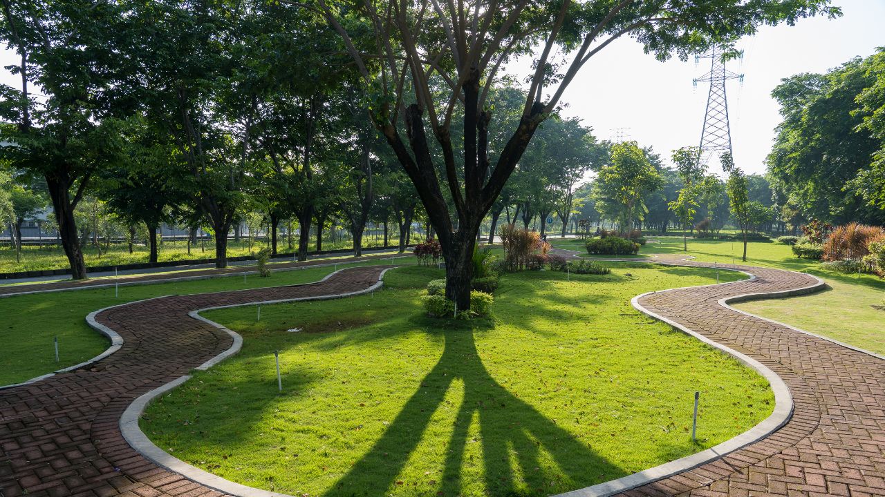 Green grass beside paver block and surounded by big trees