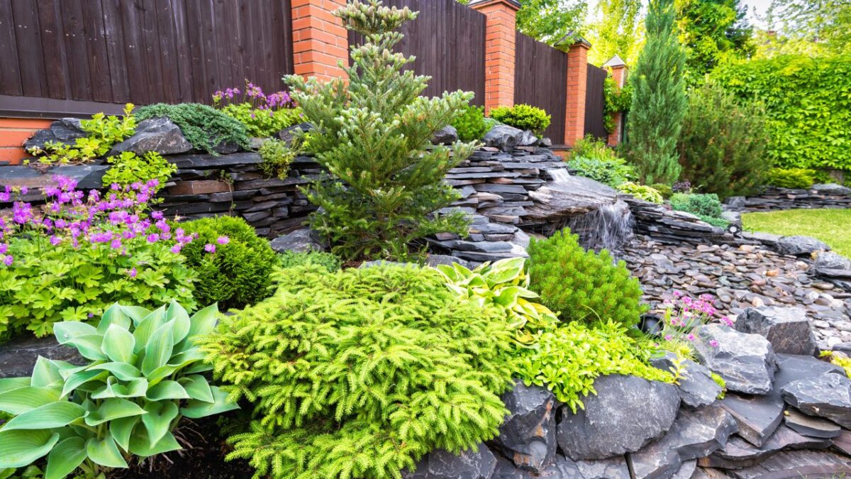 Landscape design in home garden close-up, beautiful landscaped garden with plants, bush, rocks and small fountain. Nice landscaping of residential house backyard in summer. Nature and stones theme.