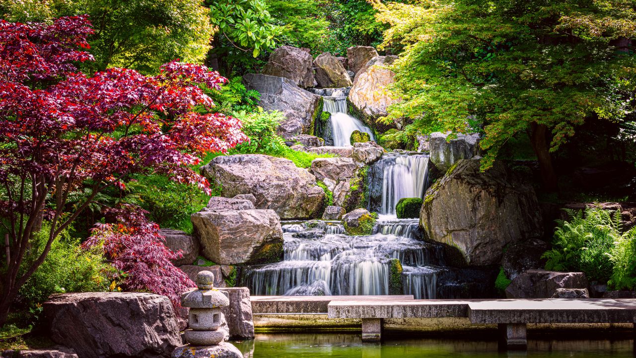 Waterfall long exposure with maple trees and bridge in Kyoto Japanese green Garden in Holland Park green summer zen lake pond water in London, UK