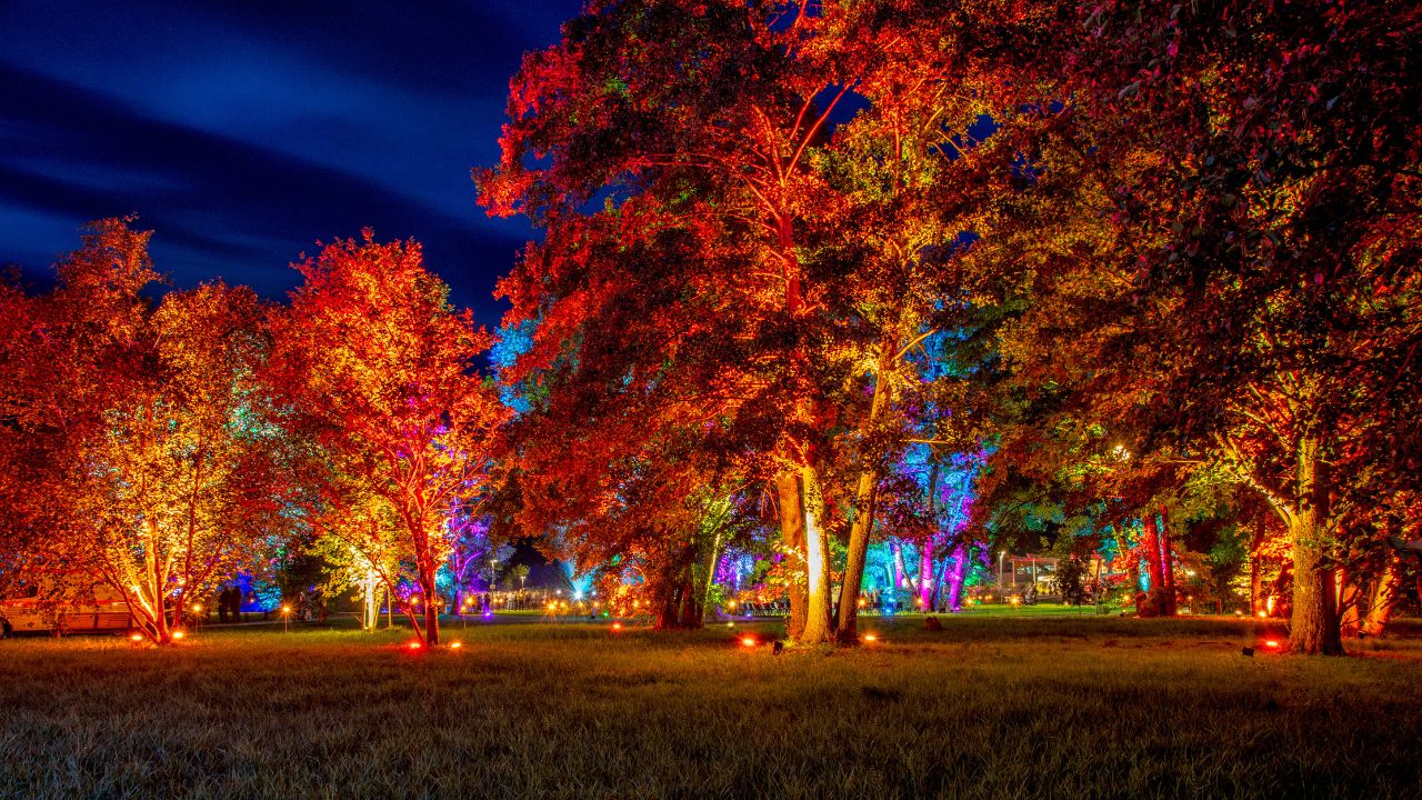last night in the enchanted forest - the magic park