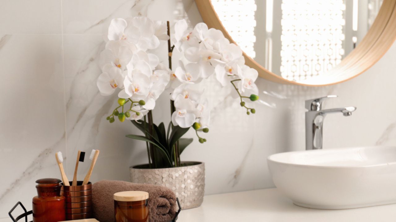 White Orchid near vessel sink in bathroom