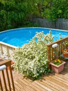above ground swimming pool with flowers planted nearby.
