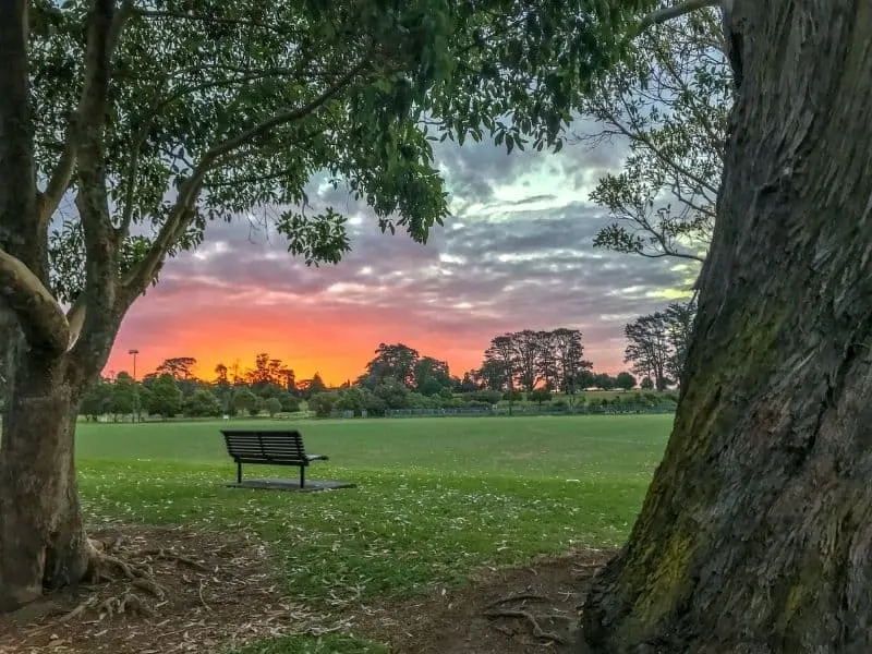 a bench between two trees, overlooking a stunning sunset