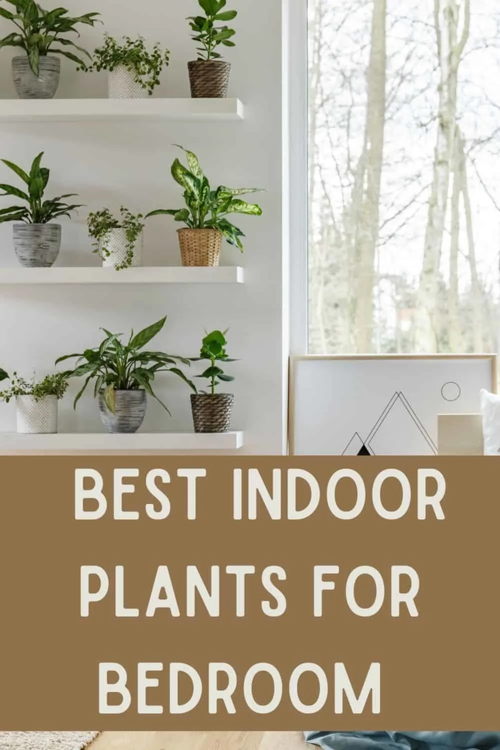 Best indoor plants for bedroom