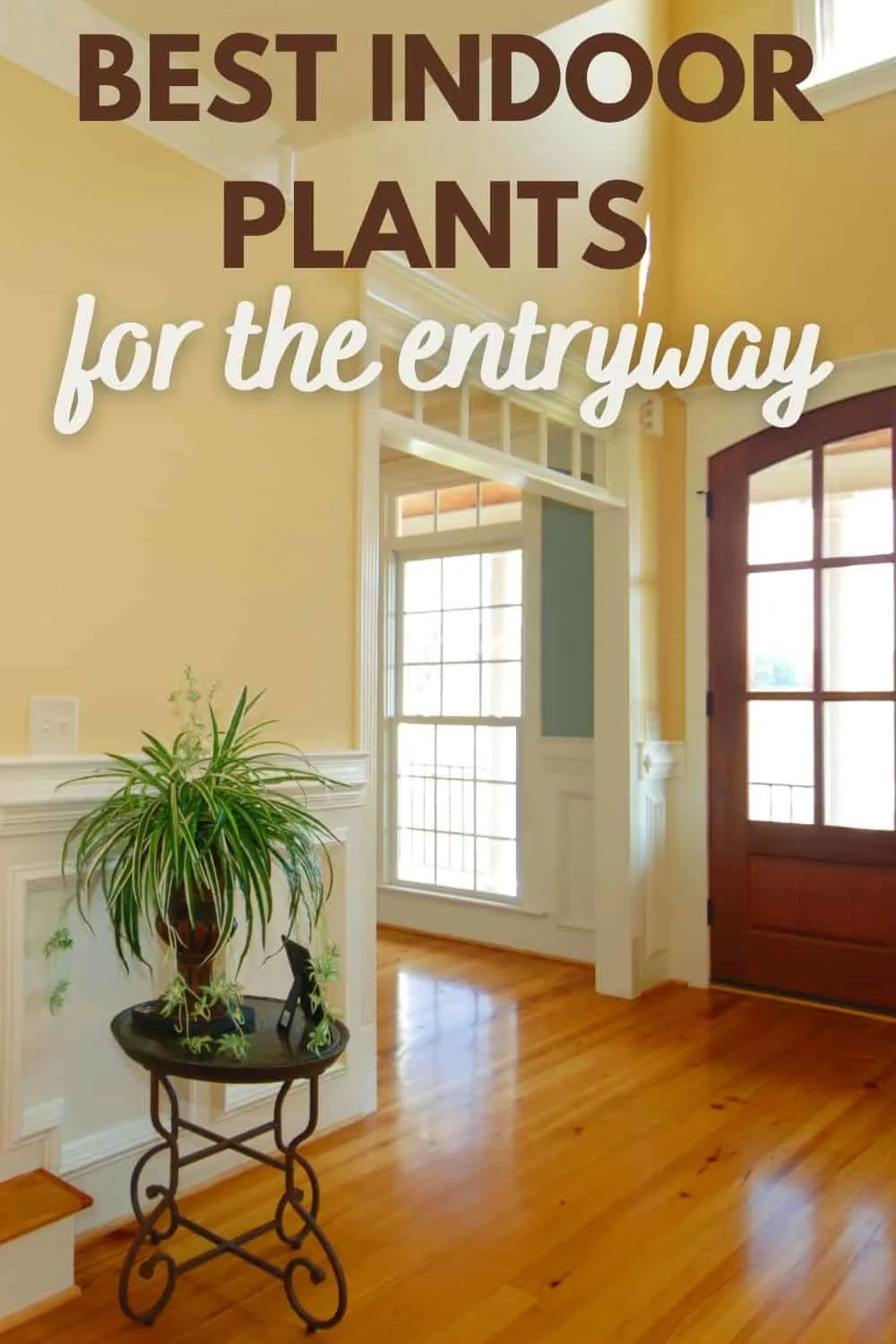 best indoor plants for entryway