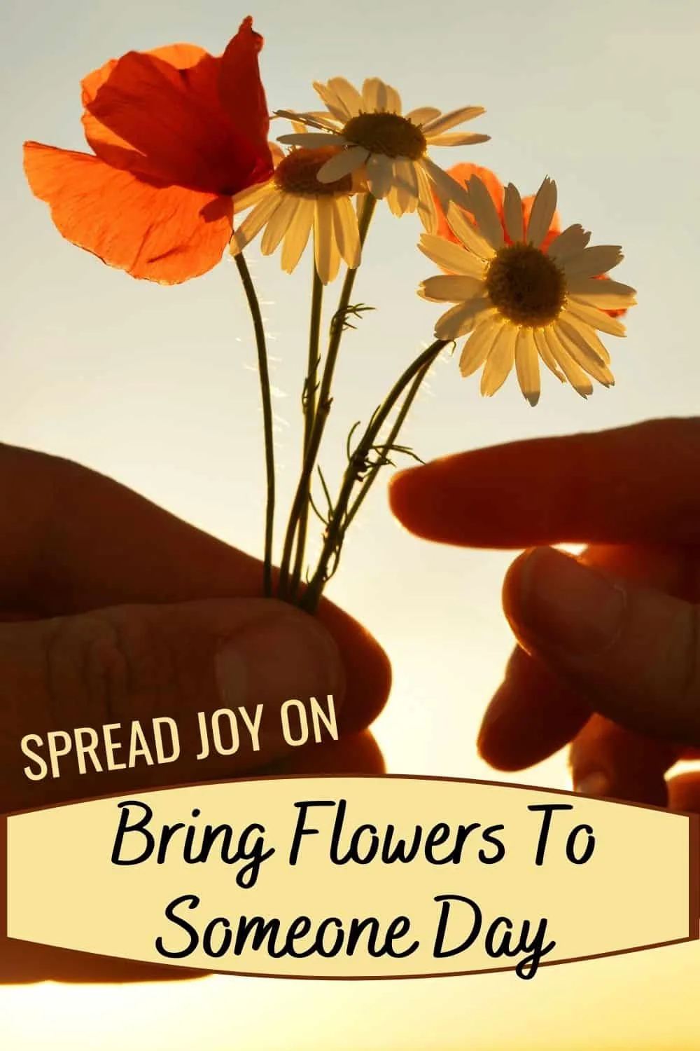 Spread joy on Bring Flowers To Someone Day