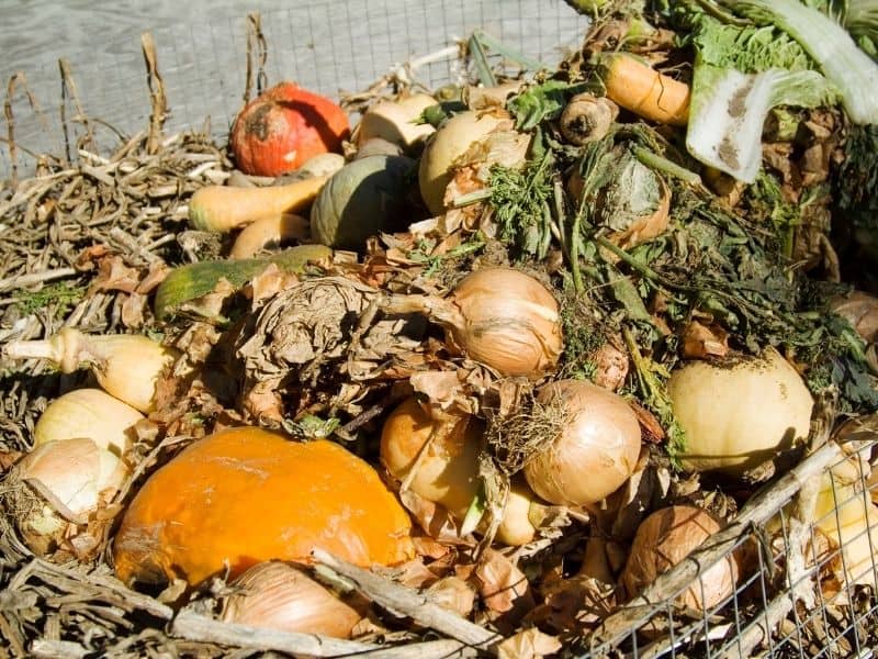 composting kitchen scraps