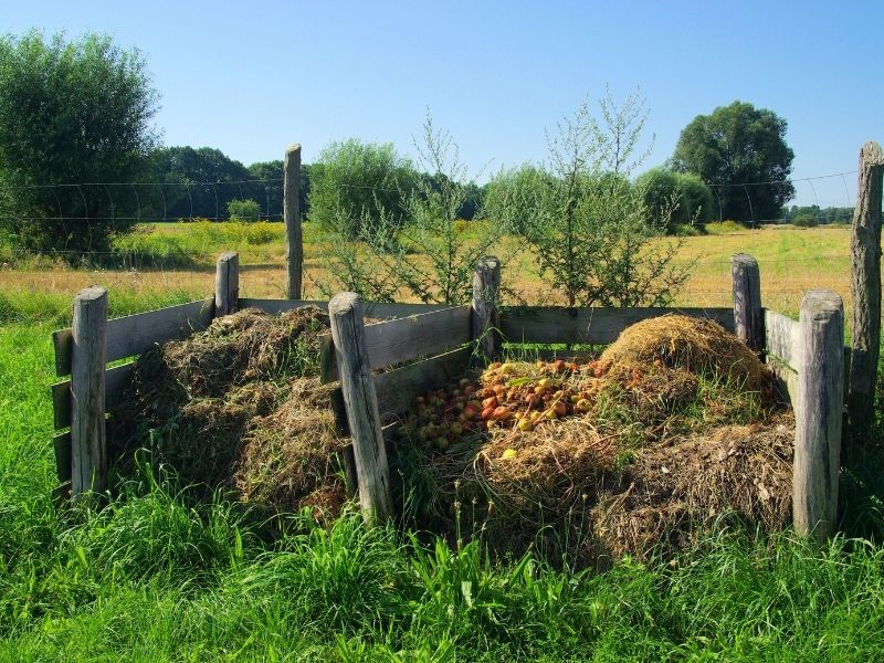 composting area