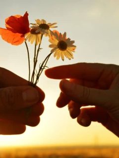 someone giving wild flowers