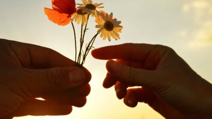 Spread Joy on Bring Flowers to Someone Day, May 15