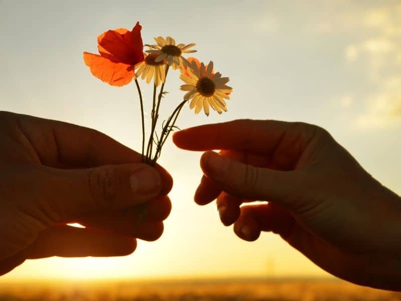 someone giving wild flowers